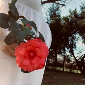 Meet your Posher, Kendall